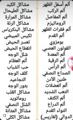 الكبد3.PNG