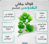 بقدونس.PNG