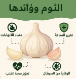 الثوم6.PNG