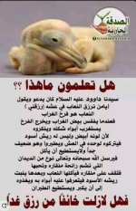 هل تعلم ما هــــــــــــــــــــذا؟؟