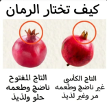 الزمان.PNG