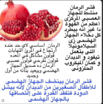 الرمــــــــــــــــــــــــــــــــان