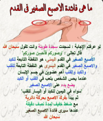 فائده الابع الصغير.PNG