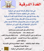 درقيه7.PNG
