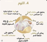 الثوم4.PNG
