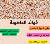 القاطونه2.PNG