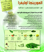 الماورينجا 2.PNG