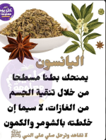 النجمي2.PNG