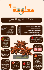 اليانسون النجمي.PNG
