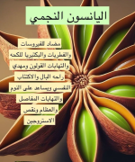 اليانسونالنجمي.PNG