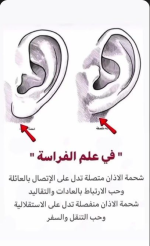 علم الفراسة.PNG