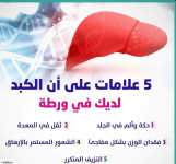 الكبد 3.PNG