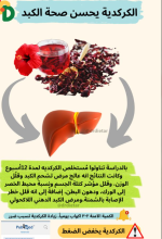 الكبد5.PNG