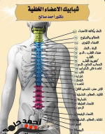 الاعضاء.PNG