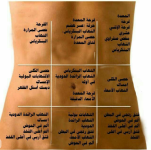 الالم مناطقه.PNG