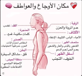 اماكن الاوجاع والعواطف.PNG