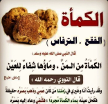 الكمأه.PNG