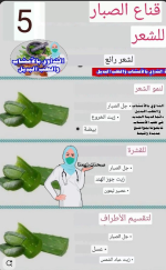 قناع الصبار للشعر.PNG