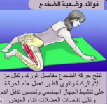 الضفدع 1.PNG