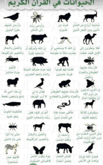 الحيوانت في القران.PNG