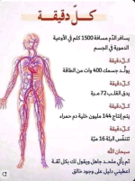 من اعجز القران.PNG