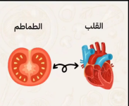 غــــــــــذاؤك دوائــــــك