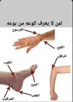 لا يعرف كوعه من بوعه.PNG