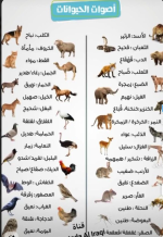 اصوات الحيوانات.PNG