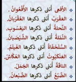 مؤنث الذكور في الحيوانات