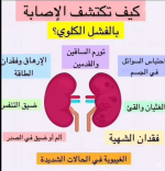 الكلى 2.PNG