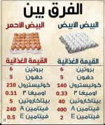 الفرق بين البيض الابيض والاصفر.PNG