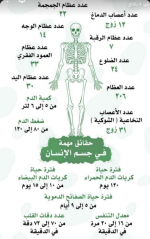 حقائق مهمة في جسم الانسان