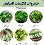 تكيس المبايض 2.PNG