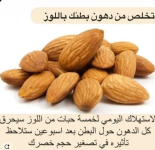 اللوز2.PNG