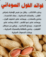الفول السوداني2.PNG