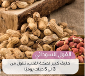 الفول السوداني.PNG