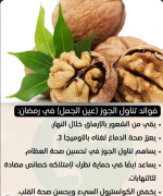 الجوز4.PNG