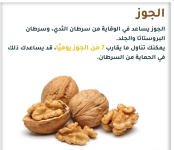 الجوز3.PNG