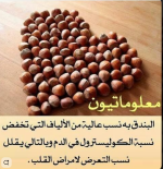 البندق.PNG