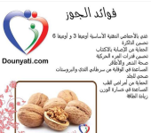الجوز.PNG