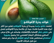 الافوكـــــــــــــــــــــــادو