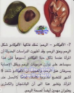 الافوكادو2.PNG