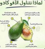 الافوكادو4.PNG