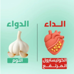 الثوم.PNG