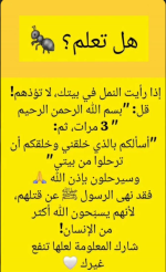 النمل وعدم قتلهم.PNG