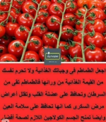 الطماطم.PNG