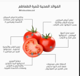 طماطم 2.PNG