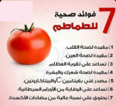 طماطم5.PNG