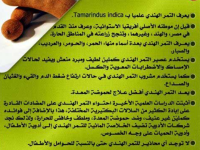 التمر الهندي1.PNG