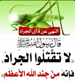 الجراد.PNG
